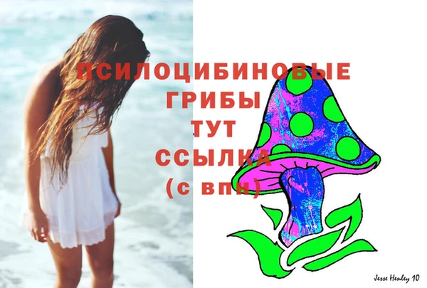 спайс Алзамай