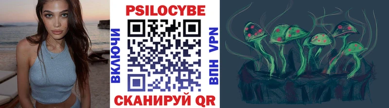 Псилоцибиновые грибы Psilocybe  Константиновск 